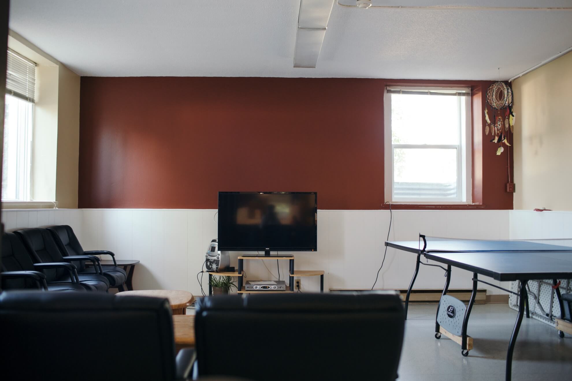 Basement TV Area